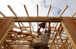 The Popularity of Mass Timber Construction Could Be Its Downfall