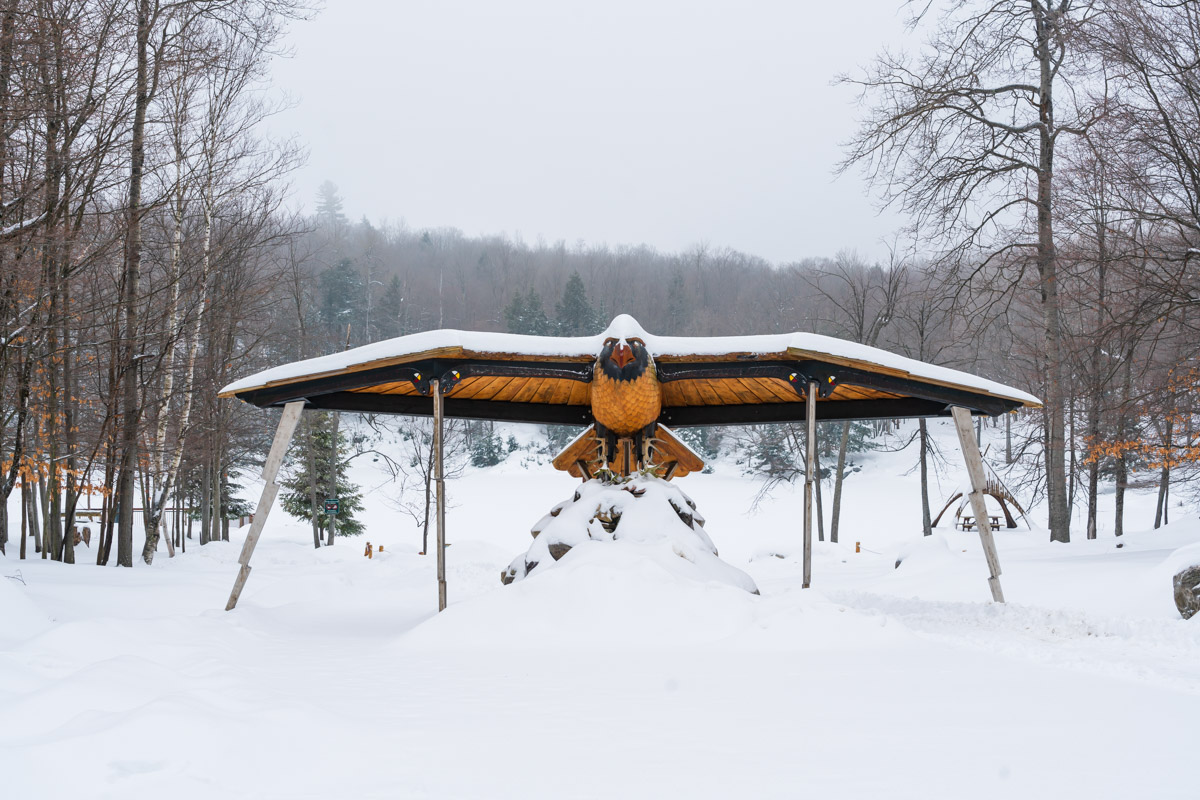 Parc Omega Animals