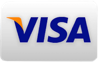 Pay Using a Visa Card.