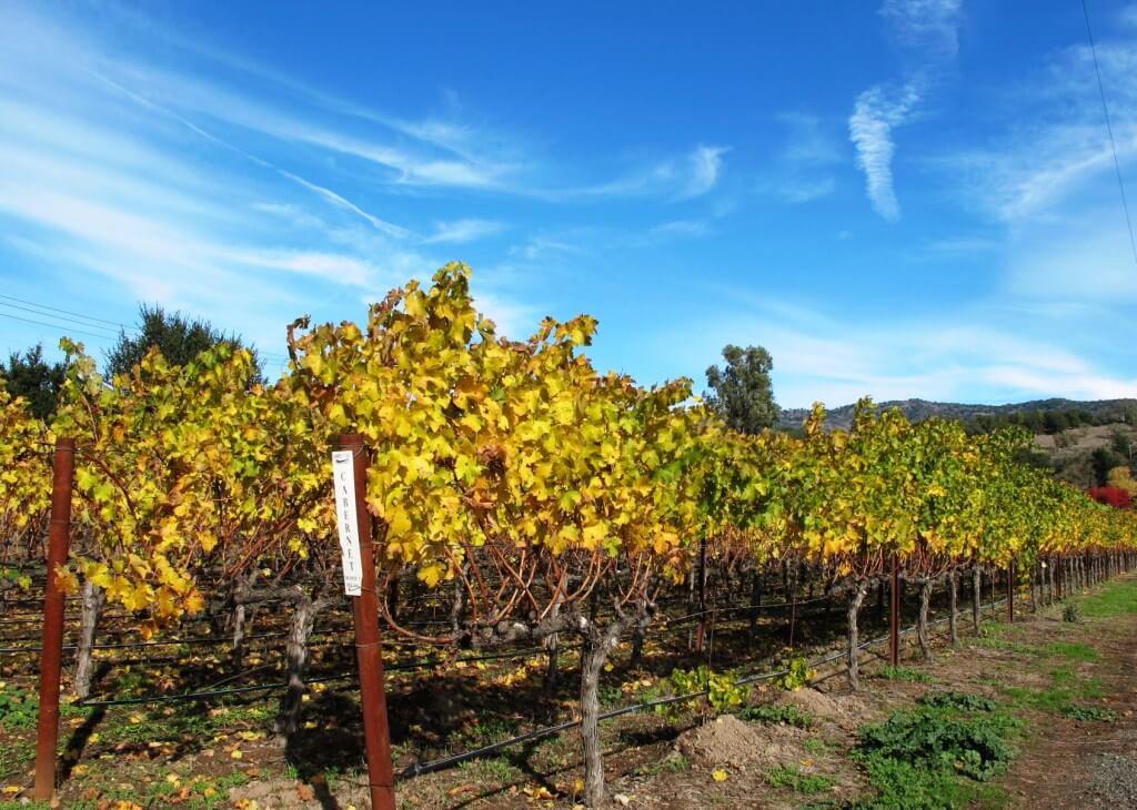 what to do in Napa Valley