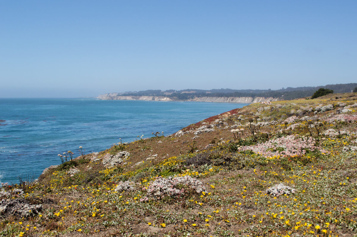 My Favorite Coastal Hike in Northern California