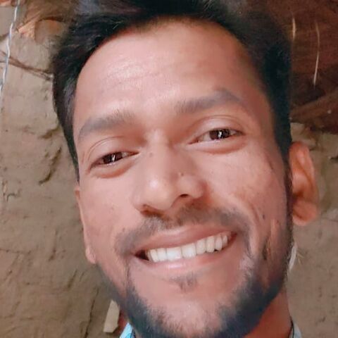 Hindi English
