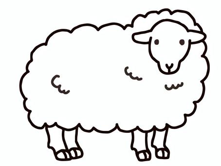 sheep line drawing, sheep, animal, white, JPG, PNG and AI