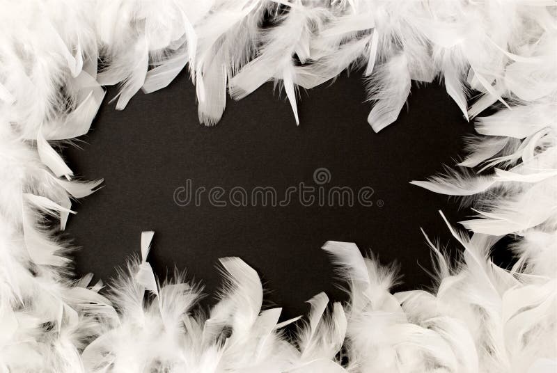 White feather border