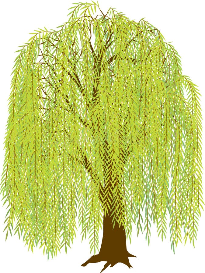 clipart weeping willow tree