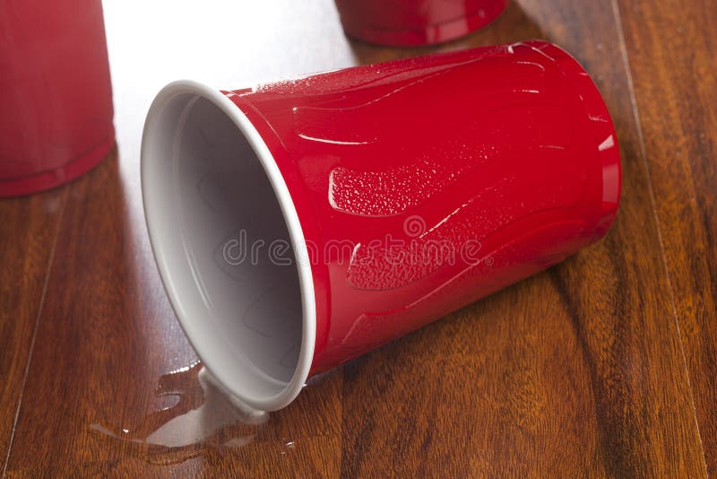 Beer in a Disposable Red Cup