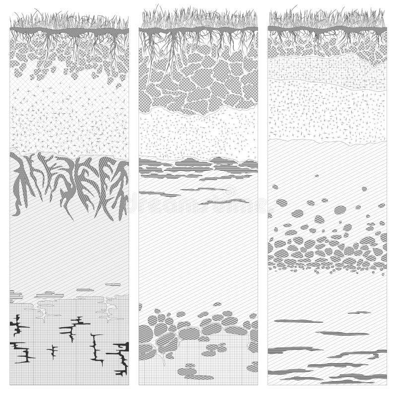 Cut of soil columns (profile).