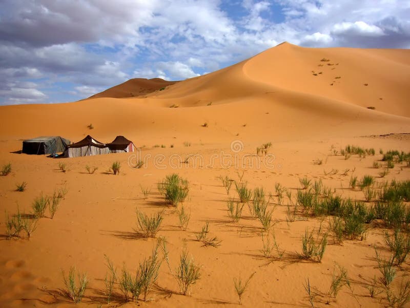 Desert stock photography