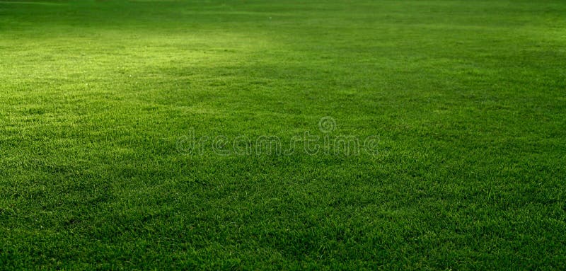 7,864,413 Grass Stock Photos - Free & Royalty-Free Stock Photos from  Dreamstime