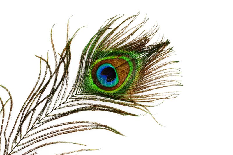 Peacock feather eye