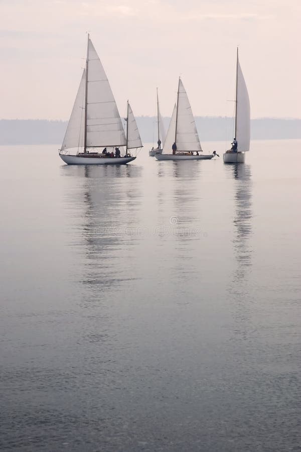 Sailboats calm water fog