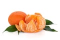 Tangerine Fruit