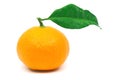 Tangerine fruit