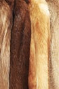 brown fur coats