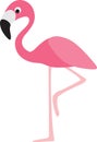 Flamingo cartoon