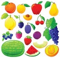 Fruit set with color outlines