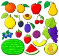 Fruit set with black outlines