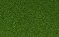 Grass Texture