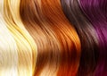 Hair Colors Palette