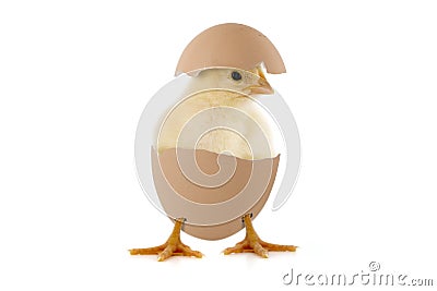 Happy easter Stock Photo