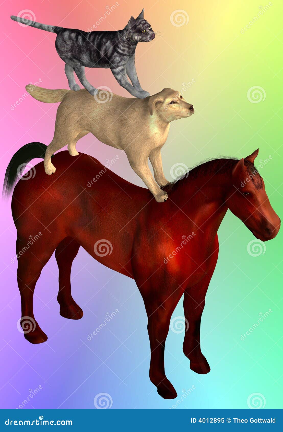 Horse, Dog And Cat On Top Royalty Free Stock Photo - Image ...