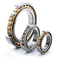 Ball & Roller Bearings