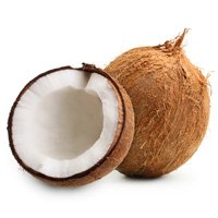 Coconut