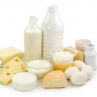 Dairy Products