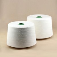 Polyester Yarn