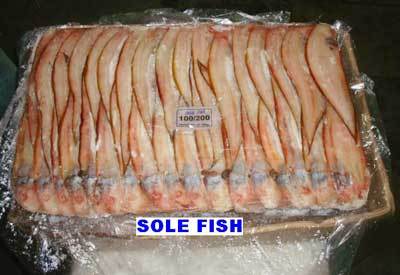 Sole Fish