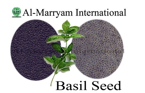 Basil Seeds