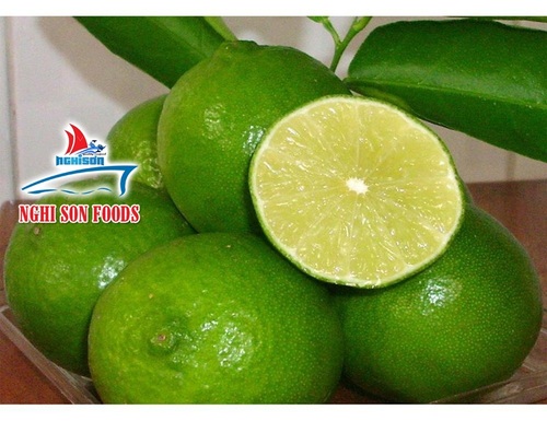 Fresh Lemon - 4-6 cm, Green | 100% Fresh, Seeded & Seedless Varieties, Sour Taste, Non-Glutinous Citrus