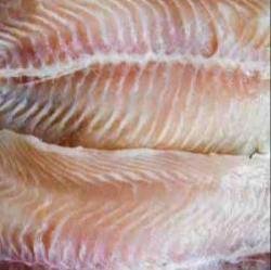 River Sole Fish - Fresh, High-quality Flatfish From Hooghly, West Bengal, India | Sourced From Experts, Ideal For Gourmet European Dishes, Sustainably Traded