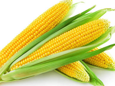 Frozen Sweet Corn