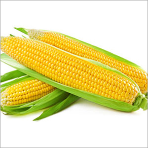 Frozen Sweet Corn