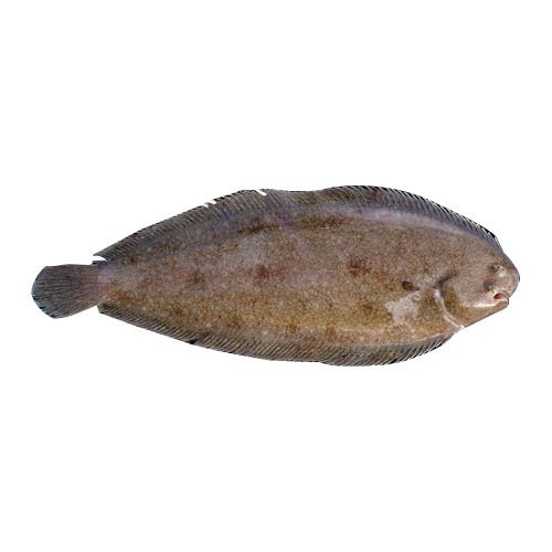 Cooked Sole Fish