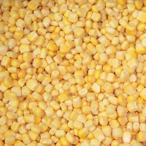 Rich in Protein Frozen Sweet Corn