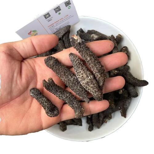 Whole Dry Sea Cucumber