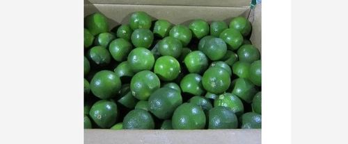 Round Fresh Green Seedless Lemon