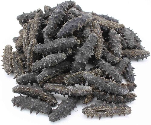 Dry Sea Cucumber