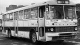 Ikarus 556