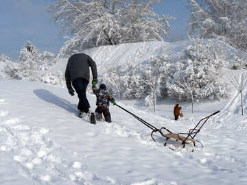 Skiing  at  sleigh №10601