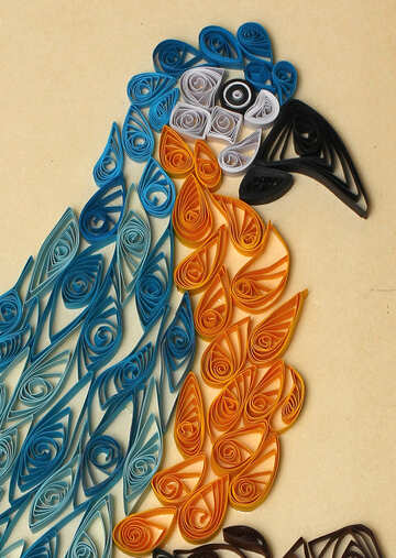 Parrot quilling №35488