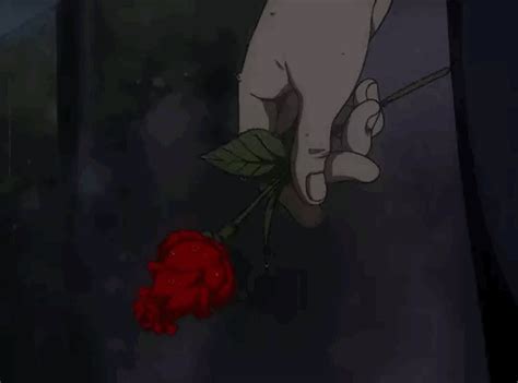 A Hand Holding A Red Rose In Front Of A Window