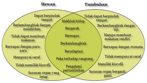 Perbedaan Hewan Dan Tumbuhan Tabel Distribusi Nilai T IMAGESEE