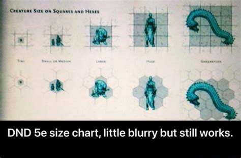 Dnd 5e Size Chart Little Blurry But Still Works Ifunny