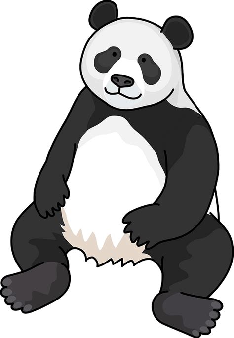 Giant Panda Red Panda Clip Art Panda Png Png Download