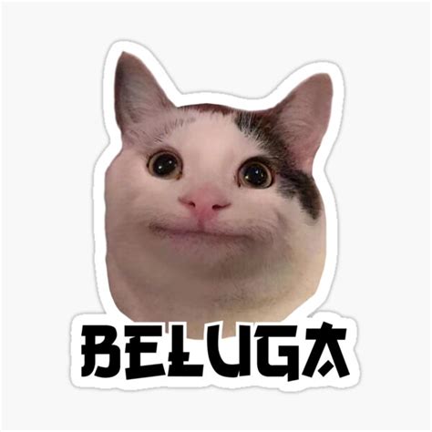 Smiling Cat Beluga Discord Pfp Sticker By Stickiii Redbubble