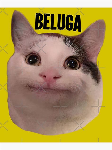 Beluga Cat Discord Pfp Poster By Stickiii Redbubble