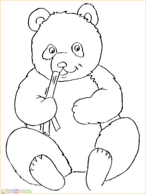 Sketsa Gambar Panda